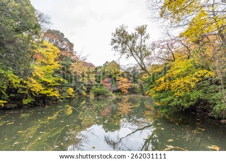 TOKYO, JAPAN - DEC 1, 2014: A small lake in the Hongo campus of University of Tokyo in Tokyo, Japan. The University of Tokyo, abbreviated as Todai, is a research university located in Bunkyo, Japan.