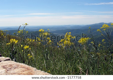 Virginia foot hills photographed from the Shenandoah National Park.