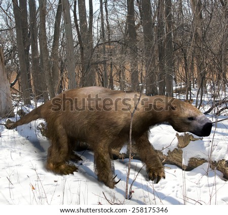 An illustration of the extinct giant ground sloth Megalonyx slowing making his way through an Ice Age Ohio forest. Megalonyx jeffersonii was a large, heavily built animal (10 ft ) of the Pleistocene.