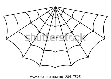 Spider Web Illustrator