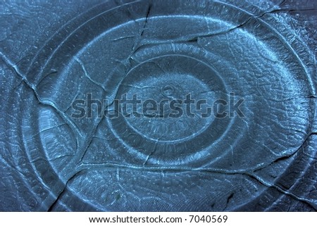 Effect of dispersing circles after a drop fell in a dish of the form of leaf filled with water