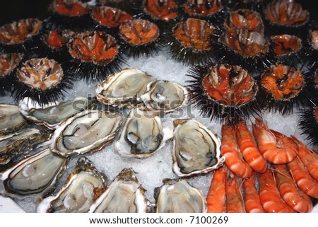 Seafood (oysters, shrimps, sea-urchins, mussels) are decoratively put on ice in a big plate.