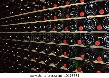 Wine cellar is immersed in darkness for better fermentation of sparkling wine.