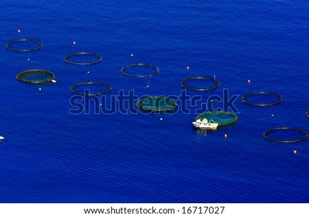 Fish farm in the sea near Calabria coast