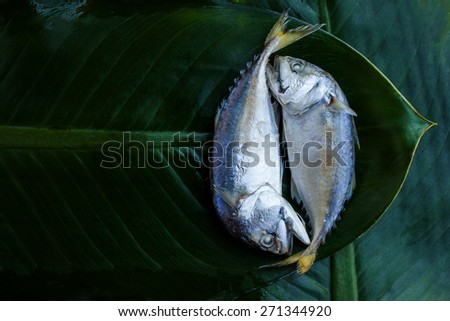 Thai mackeral fish on banana feaf  .Macro with extremely shallow dof