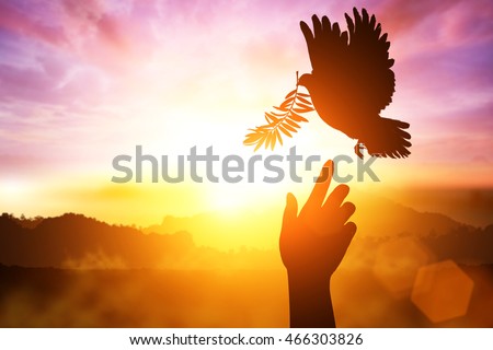desire for peace concept with Silhouette of one hand desire to Dove carrying olive leaf branch .Freedom concept and World Peace Day hand helping
