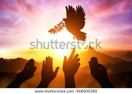 desire for peace concept with Silhouette of many hand desire to Dove carrying olive leaf branch .Freedom concept and World Peace Day hand helping and international day of peace 2016
