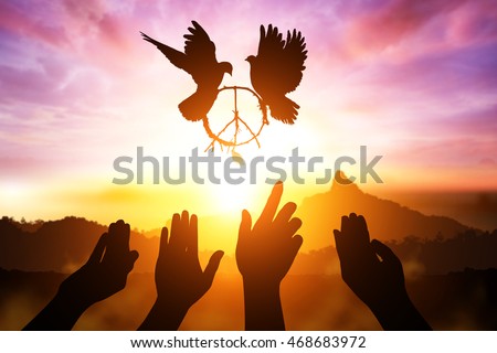 Silhouette of many hand desire to peace sign shape flying on sunset sky for freedom concept and  international day of peace 2017
