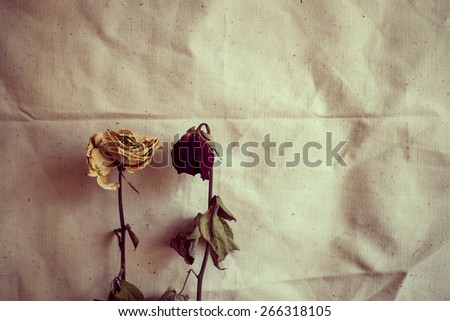 Dried roses vintage on brown paper , Heartbroken dry rose , Unrequited love