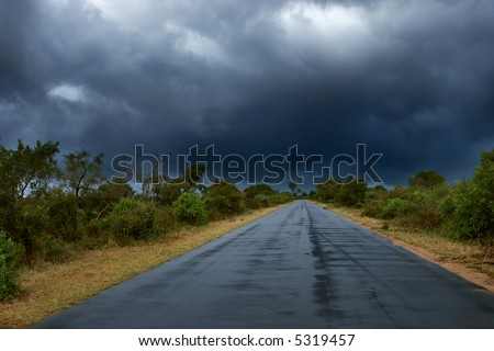 Old wet tar road in straight line between bushes; rainy weather