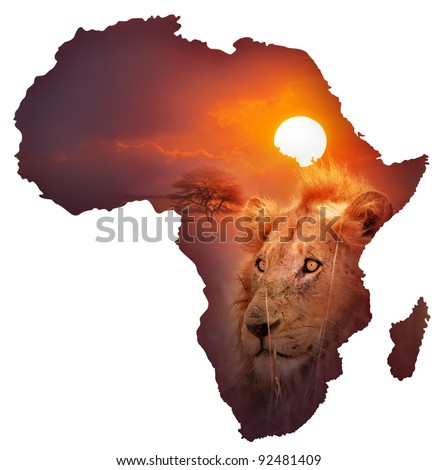 Africa Wildlife Map Design -  Isolated on White