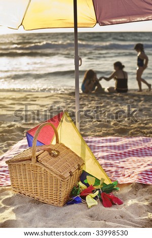 Family Picnic Basket