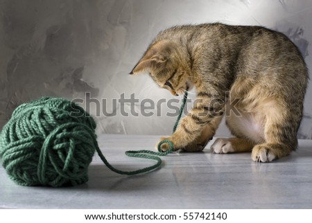 kitten playing with a green wool ball on a marble surface and gray background