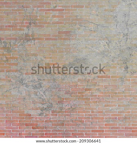 color textured wall. Background texture.