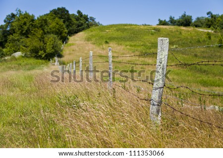 Old wooden fence posts wrapped with barb wire fence. The grass has grown up tall all around.  This is a quick and easy fence to put up to keep livestock from roaming around.