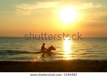 Rider in the sea on the sunset