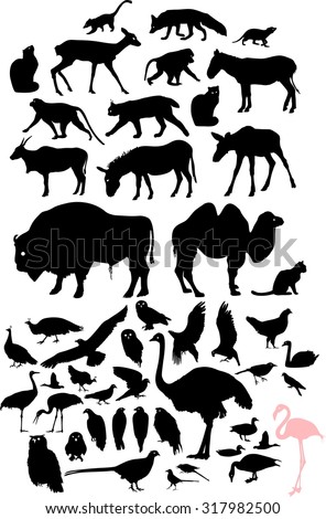 Set of silhouettes of birds and animals