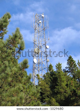 Microwave antenna tower on pine-covered hilltop