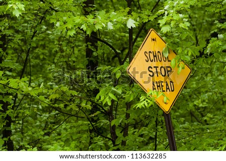 School Stop Ahead surrounded by leaves