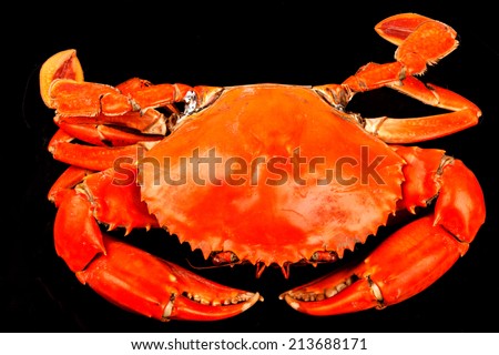Steamed black crab in isolated on black background