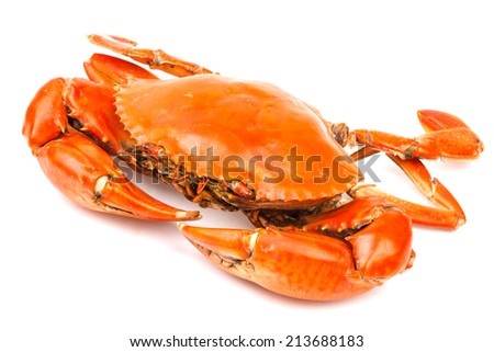 Steamed black crab in isolated on white background