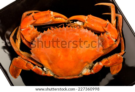 steamed black crab on white background