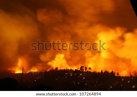 CHALKIDIKI, GREECE - AUGUST, 21 : Fire disaster on August 21, 2006 Chalkidiki, Greece