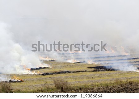 Fire in a field