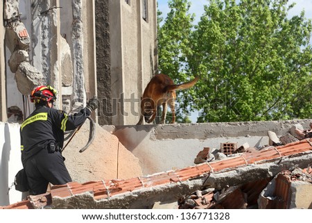 THESSALONIKI,GREECE - APRIL 19:Rescuer with rescue dog in ruins of buildings, During A training exercise for consequences earthquake in Industrial Area of Sindos,April 19,2013 in Thessaloniki,Greece