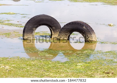 A discarded old tyre in a puddle of contaminated water. Delta of the river Axios