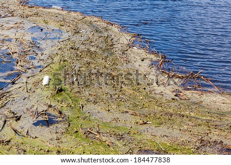 A large amount of trash polluting.. Delta of the river Axios