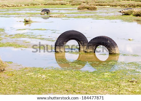 A discarded old tyre in a puddle of contaminated water. Delta of the river Axios