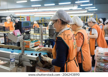 NAOUSSA, GREECE- JULY 10, 2014: Women working at the factory of Agricultural Cooperative of Naoussa, Greece. The famous \