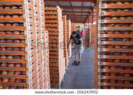 NAOUSSA, GREECE- JULY 10, 2014: Products of Agricultural Cooperative of Naoussa, Greece, carried in boxes. The famous \