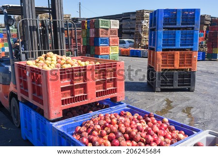 NAOUSSA, GREECE- JULY 10, 2014: A worker transporting boxes with fruits of Agricultural Cooperative of Naoussa, Greece. The famous \