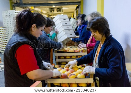 NAOUSSA GREECE- AUGUST 20 2014: Women working at the factory of Agricultural Cooperative of Naoussa Greece. The famous \