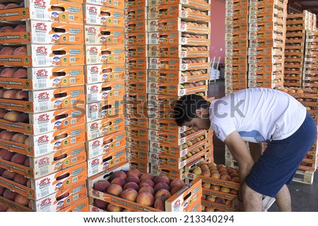 NAOUSSA GREECE- AUGUST 20 2014: Products of Agricultural Cooperative of Naoussa Greece carried in boxes. The famous \