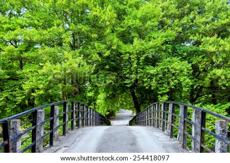 Bridge in bright forest. Natural composition
