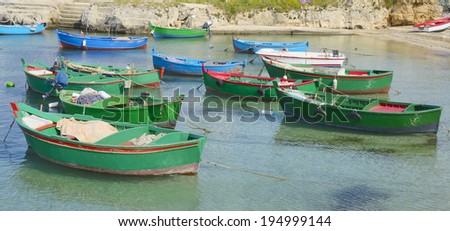 group of traditional fishing boats anchored in the harbor of Polignano a Mare, Puglia - Italy