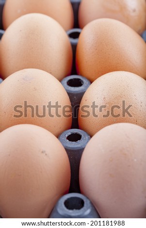 Eggs in a beautifully Panel Boards.