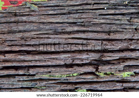 Old wood texture dark color closeup with wood knot detail.