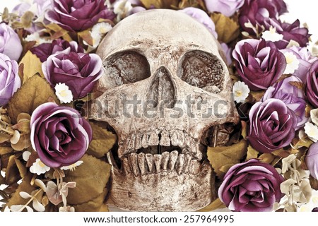 Human Skull among With the Roses