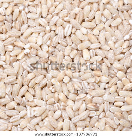 pearl barley background closeup