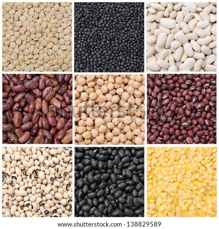 collage of nine species of legumes close-up