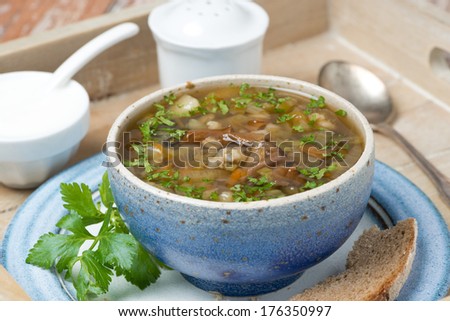 bowl of mushroom soup with pearl barley on a tray, close-up, horizontal