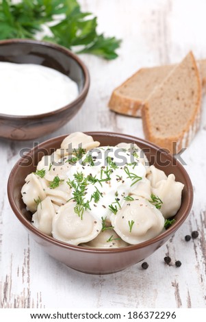 traditional dumplings with sour cream and dill, vertical