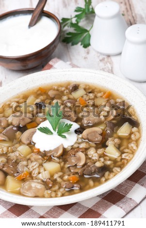 mushroom soup with vegetables and pearl barley, vertical, close-up