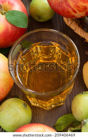 autumn drink - apple cider or juice in a glass, top view, vertical