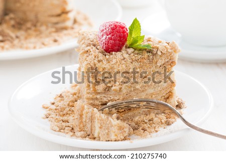 piece of cake with custard decorated with raspberries, close-up, horizontal