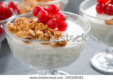 creamy panna cotta with granola and fresh red currants, close-up, horizontal